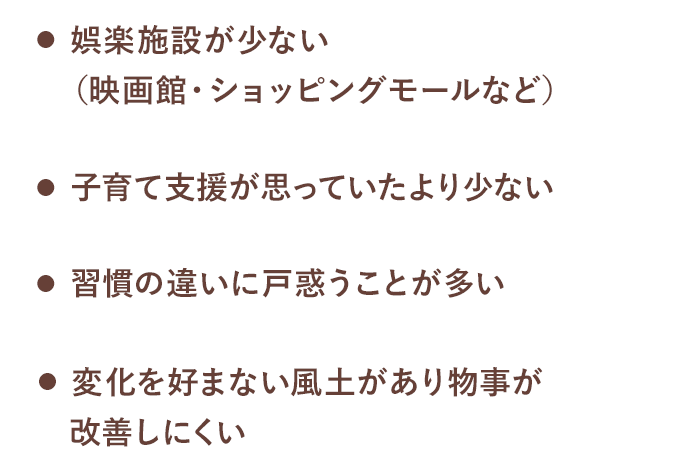 娯楽施設が少ない（映画館・ショッピングモールなど） / 習慣の違いに戸惑うことが多い / 子育て支援が思っていたより少ない / 変化を好まない風土があり物事が改善しにくい