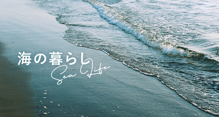 海の暮らし