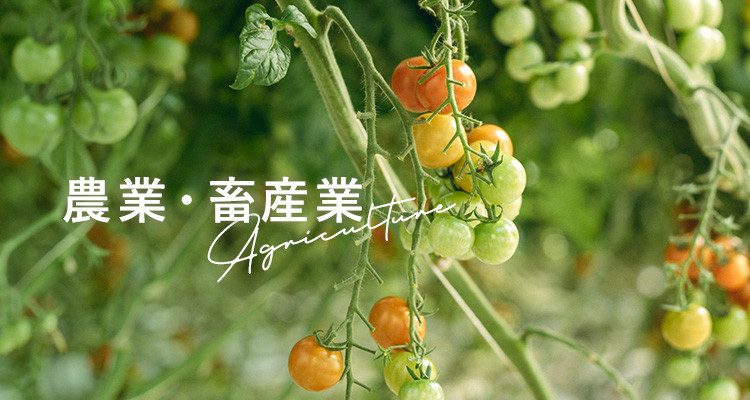 農業・畜産業