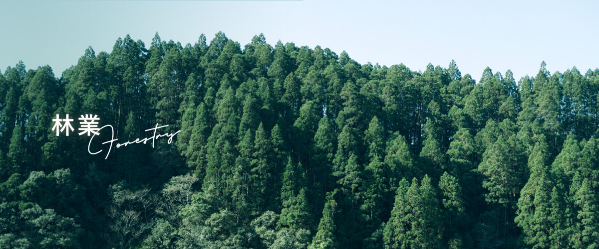 林業