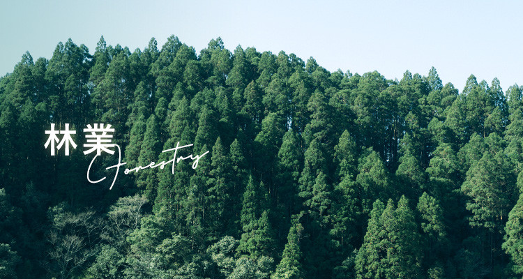 林業